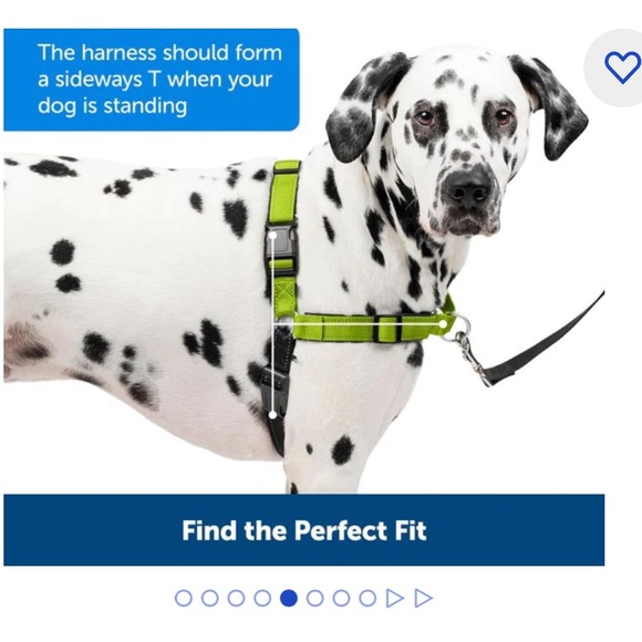 NEW - PetSafe Deluxe Easy Walk Nylon Reflective No Pull Dog Harness - Picture 6 of 9